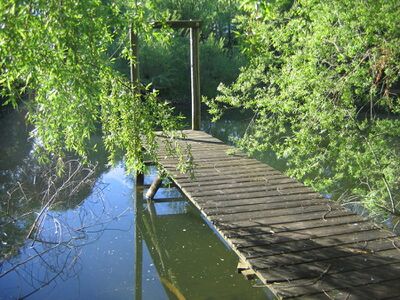 Steg am Steinschaler Teich