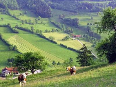 Kulturlandschaft im Sommer - Hofberg: Blick vom 1.000 Dirndlberg