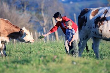 Kinder mit Kühen