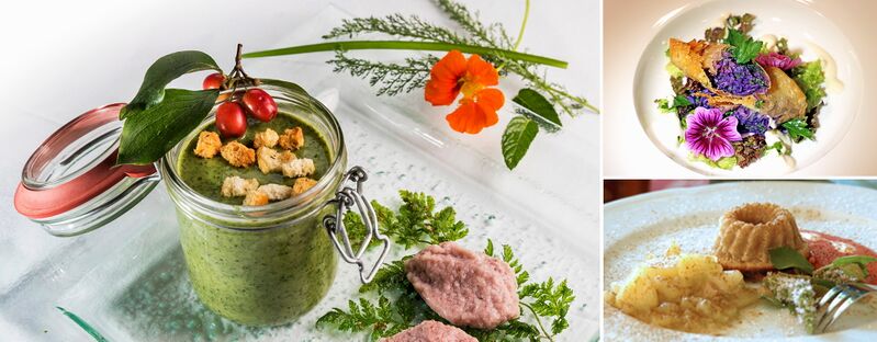 Datei:Vegan-Header.jpg