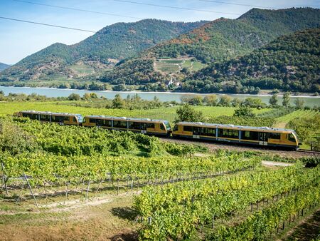 Wachauabahn - Fahrt durch die Weingärten