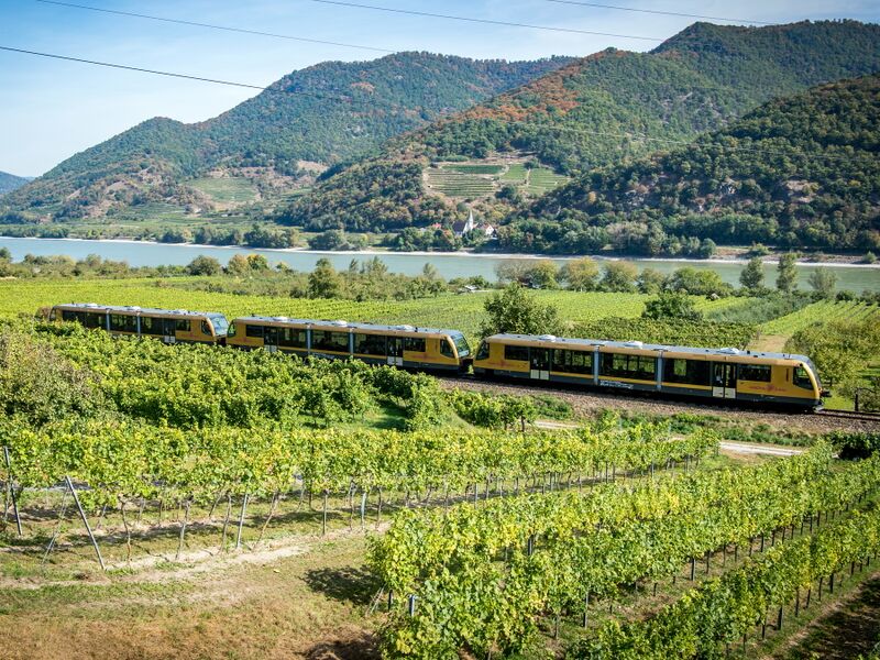 Datei:Wachauabahn - Fahrt durch Weingärten c-Kerschbaummayr.jpg