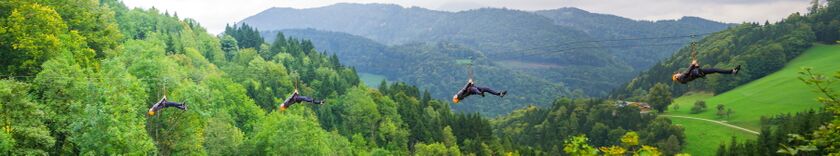 Flying Fox - Panorama