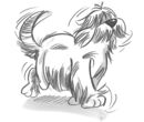 Haushund Paula