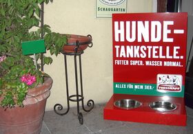 Steinschalerhof: Hundetankstelle im Sommer