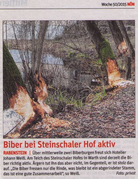 Pressebericht über Biber im Steinschalerhof
