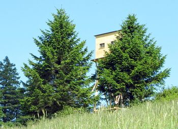 Hochstand in der Eisensteinalm