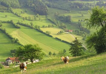 Kulturlandschaft in Tradigist