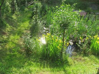 Südgarten: Biotopweg imFrühjahr