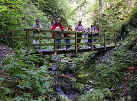 Brücke in der Taubenbachklamm