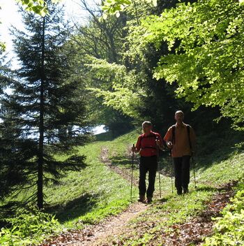 Wanderparadies - Frühling Dirndltal