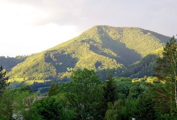 Gaisbühel Abendlicht.jpg