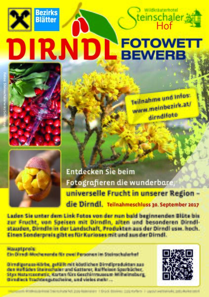 Datei:Dirndlfotowettbewerb Flyer.jpg