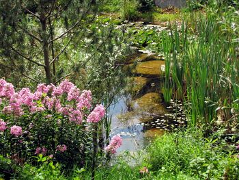 Südgarten Biotop