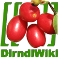 DirndlWiki Logo.png