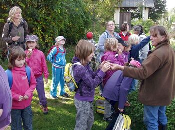 Volksschule-Tradigist Gartenführung