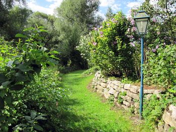 Weg im Produktionsgarten