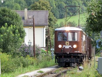 Ötscherbär in Station Steinschal