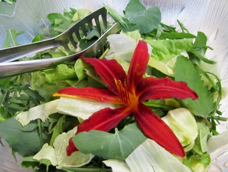 WK- Salat mit Taglilie