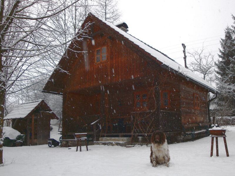 Datei:Teichhaus Hund.jpg