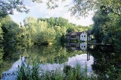 Steinschaler Teich mit Teichbbrücke