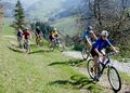 Mountainbiken in Frankenfels.jpg
