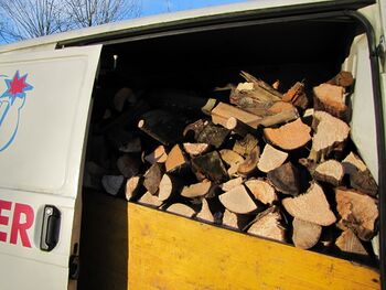 alter VWBus ist auch für Holzfahrten gut