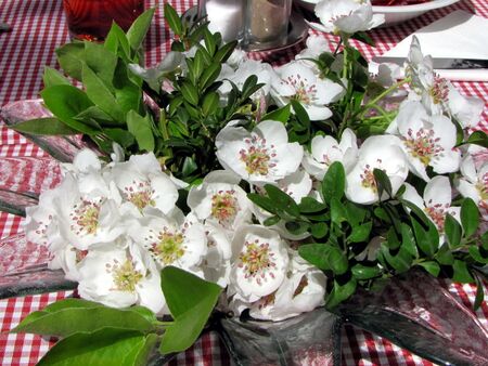 Birnenblütendeko im Restaurant
