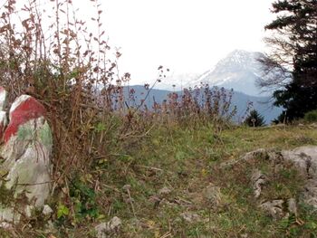 Ötscherblick auf der Alm