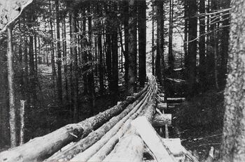 Mühseliger Holztransport über Holzriesse