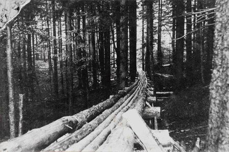 Mühseliger Holztransport über Holz-Riese