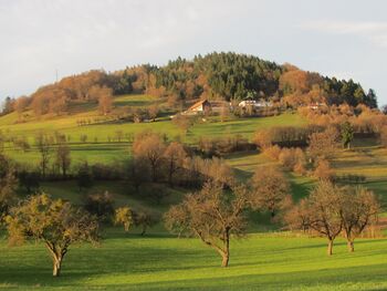 Fronberg im Herbst