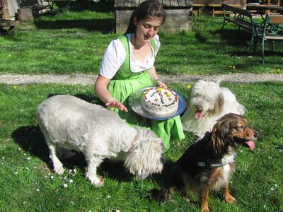 Hundegeburtstag im Steinschalerhof