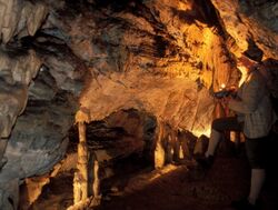 Ötscher Tropfsteinhöhle - Märchenhalle