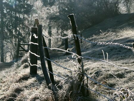 Raureif - Spazieren im Winter