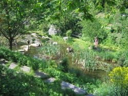 Südgartenbiotop