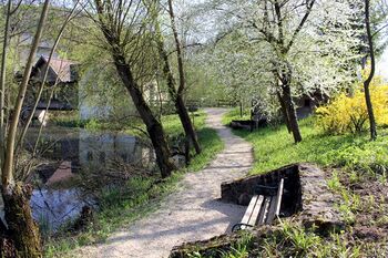 Idyllischer Weg zur Teichrücke