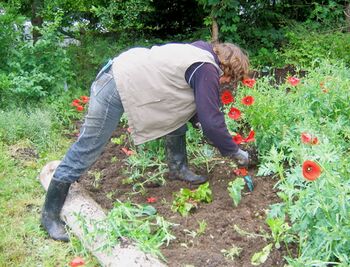 Frieda legt neues Beet an - Wassergarten