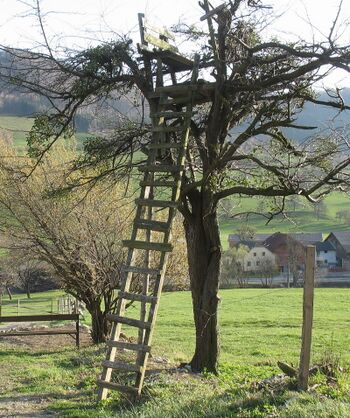 Hochstand am Dirndlweg