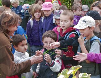 Gartenbesuch - Volksschule Tradigist