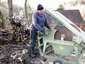 Frieda mit Kreissäge - Winterarbeit