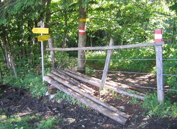 Überstieg Eisenstein bei der Weide nach Waldweg