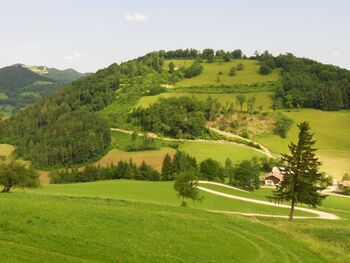 Hofberg vom Hochfeld im Süden - Juni