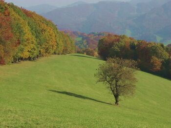 Reitbachwiese im Herbst