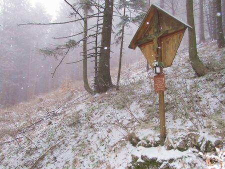 Leputsch Kreuz am Waldweg - Winter