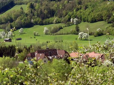 Steinschalerhof - Blick vom Haus Königswiese