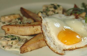 Tofu mit Schwammerl und Spiegelei