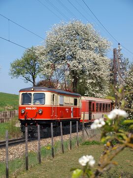 Mariazellerbahn mit Lok 1099 bei Birnenblüte
