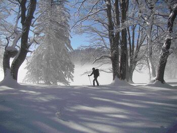 Schitouren im Dirndltal - ein Wintergenuß