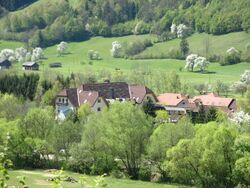 Blick auf den Steinschalerhof